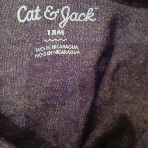 Cat & Jack T Shirt Boys Size 18M “Fierce Champion” Graphic Tee Gray Short Sleeve - Picture 4 of 4